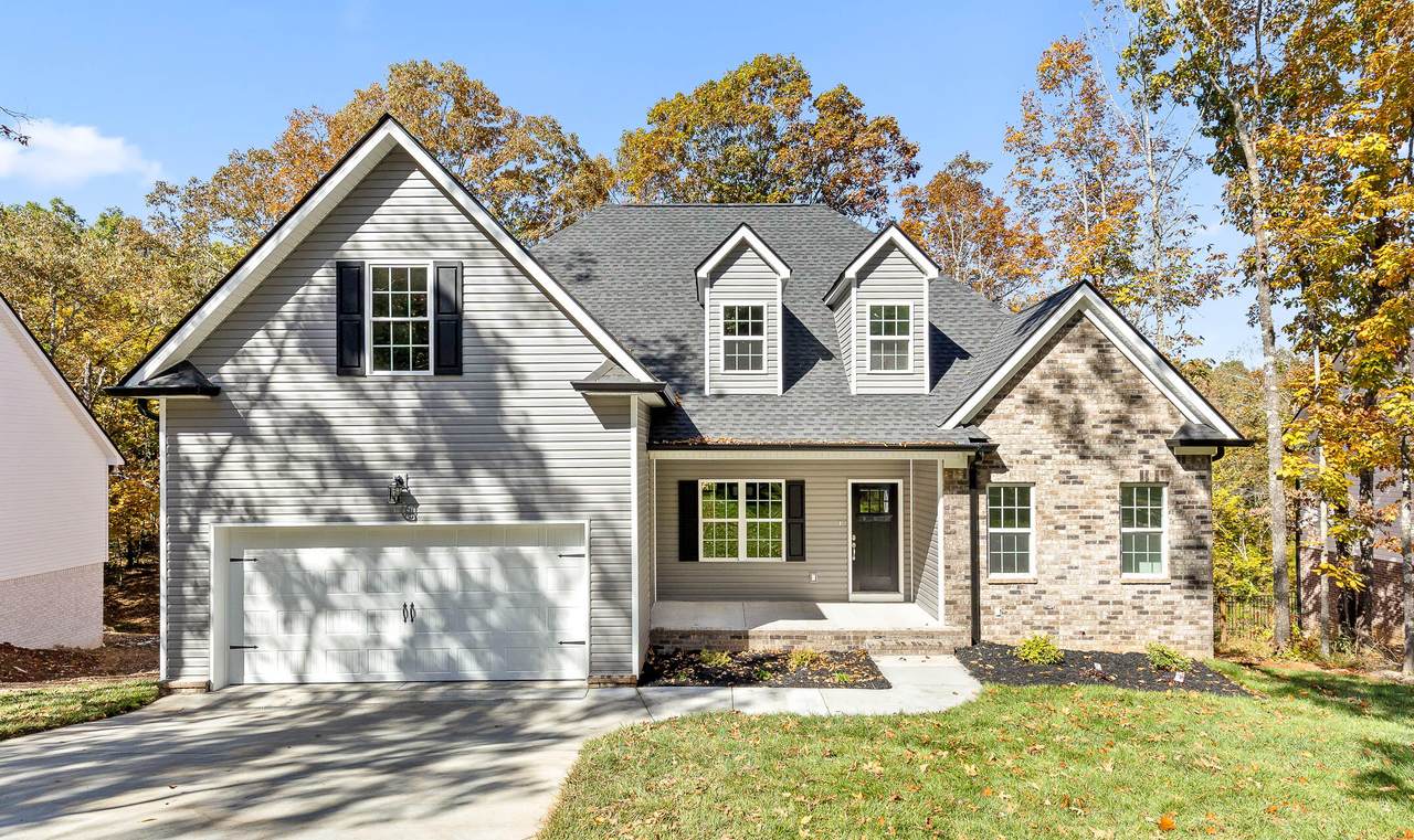7277 Ron Rd - Photo 1