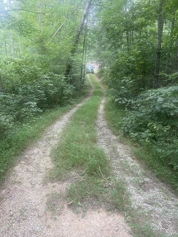 Lot 7 Mowery Rd - Photo 1