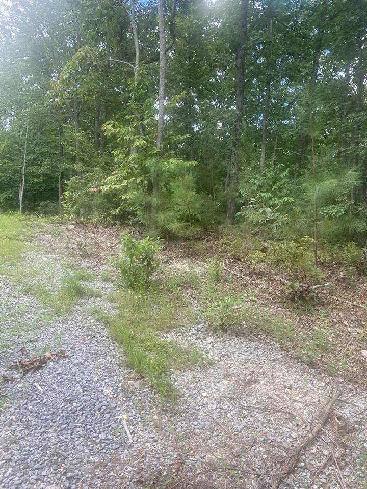 https://bt-photos.global.ssl.fastly.net/chattanooga/1280_boomver_2_1361569-2.jpg