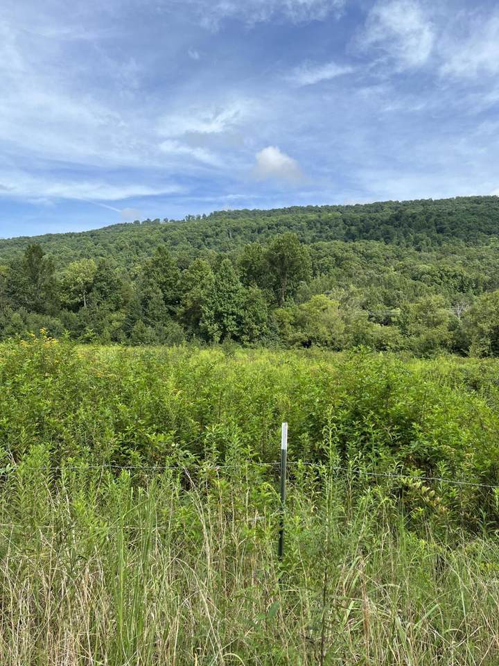 https://bt-photos.global.ssl.fastly.net/chattanooga/1280_boomver_2_1361940-2.jpg