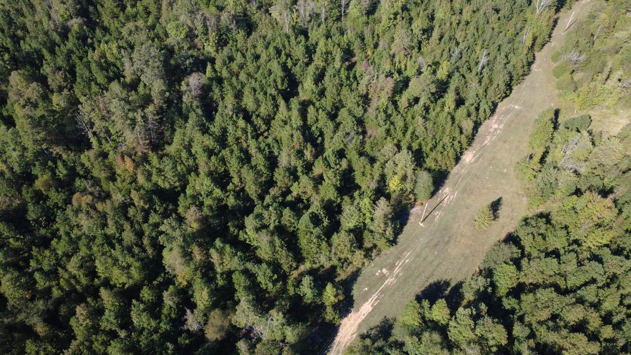 000 No Pone Valley Road - Photo 1