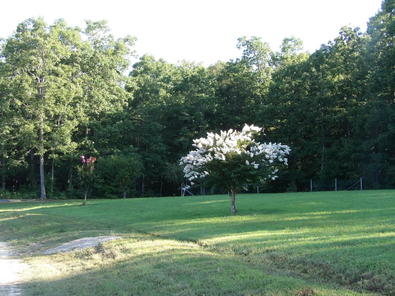 https://bt-photos.global.ssl.fastly.net/chattanooga/1280_boomver_2_1502404-2.jpg