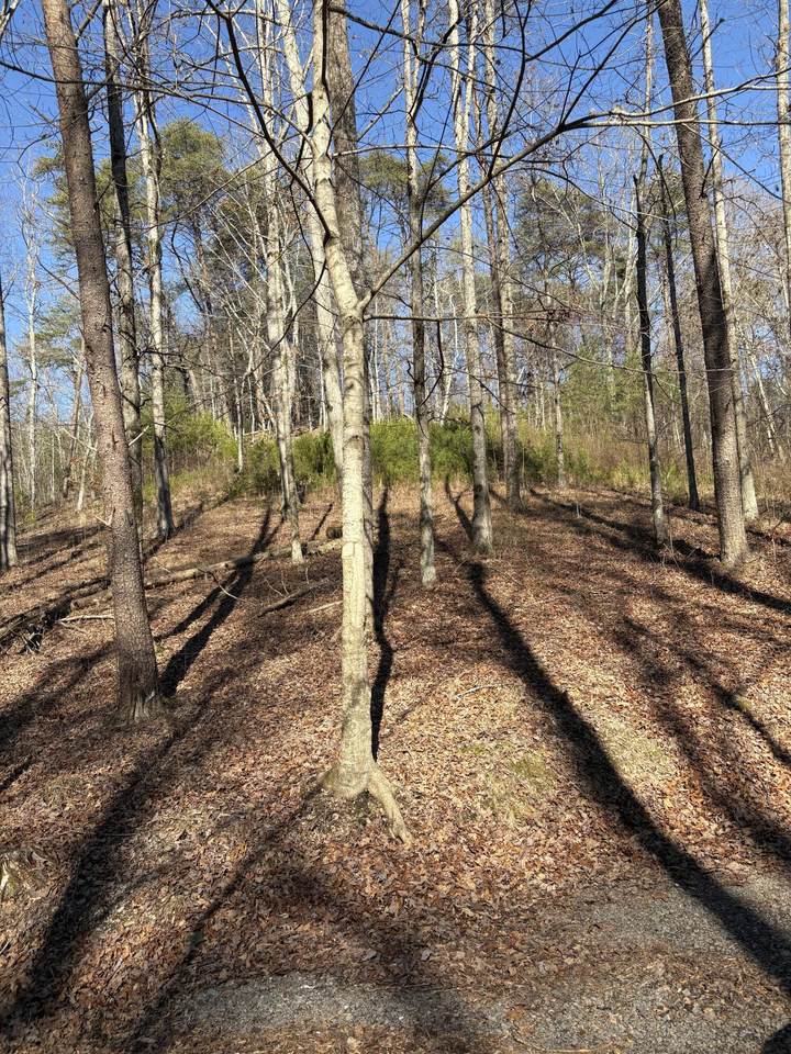 0 Fire Tower Rd Road - Photo 1