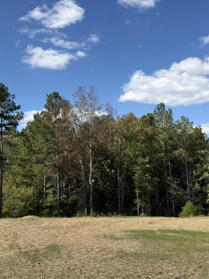 Lot 6 Creekwood - Photo 1