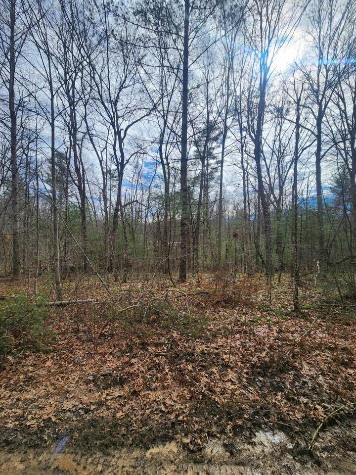 0-197 Brown Creek Drive - Photo 1
