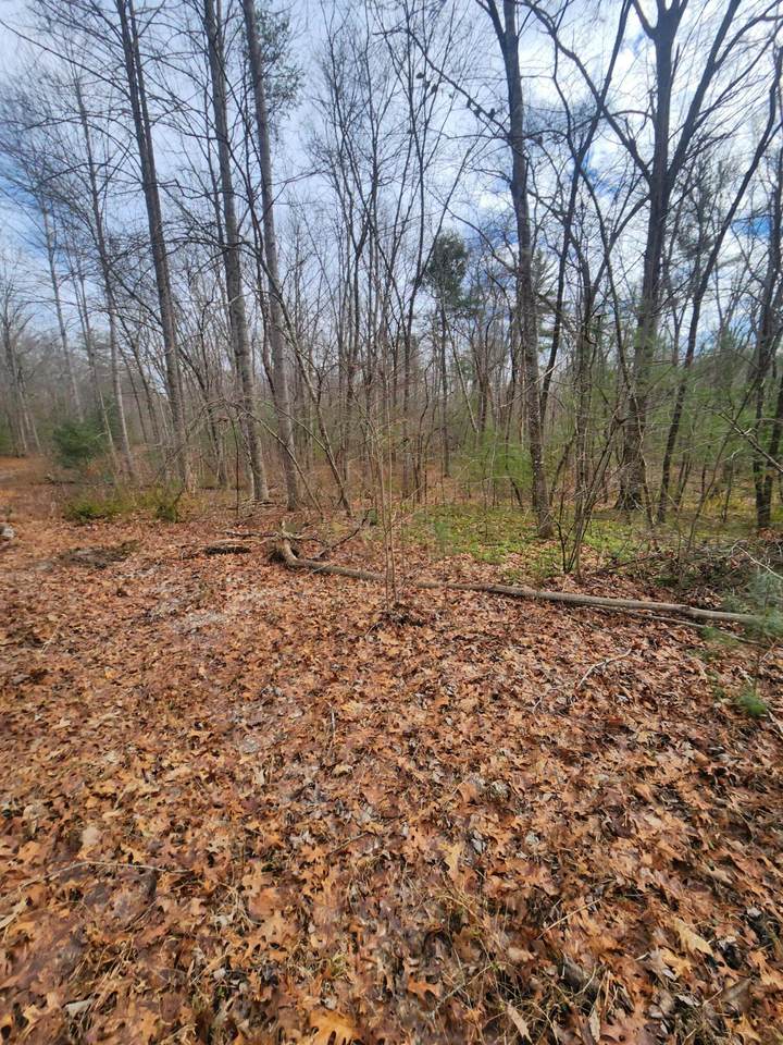 0-196 Brown Creek Drive - Photo 1