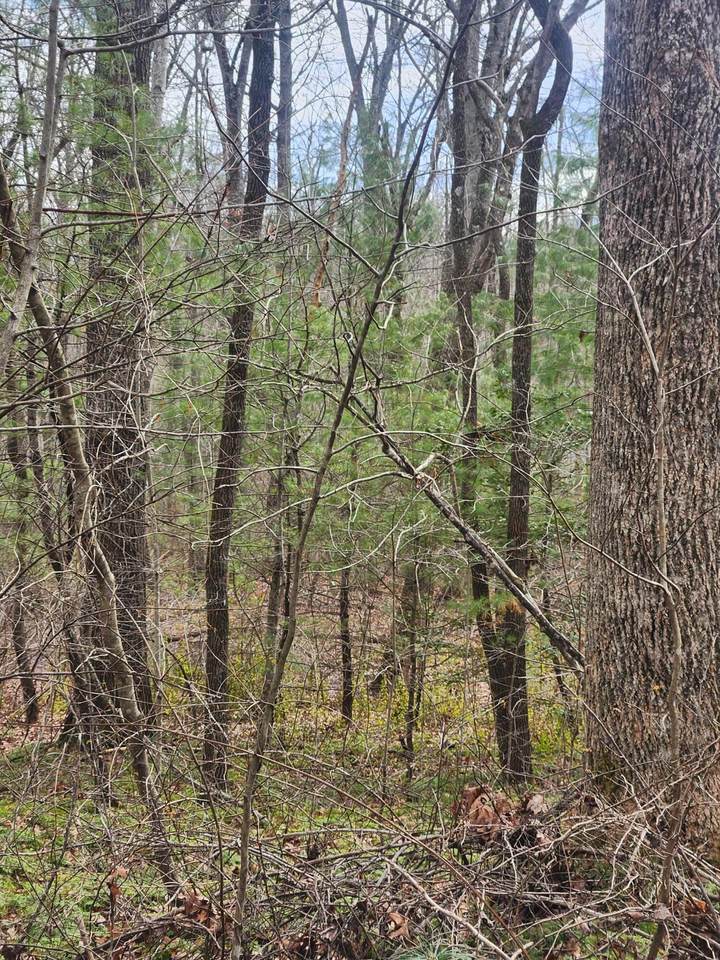 https://bt-photos.global.ssl.fastly.net/chattanooga/1280_boomver_2_1507484-2.jpg