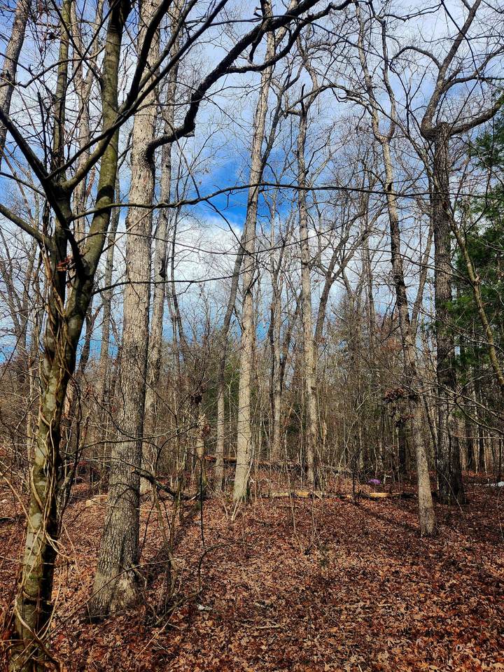 0-236 Brown Creek Drive - Photo 1