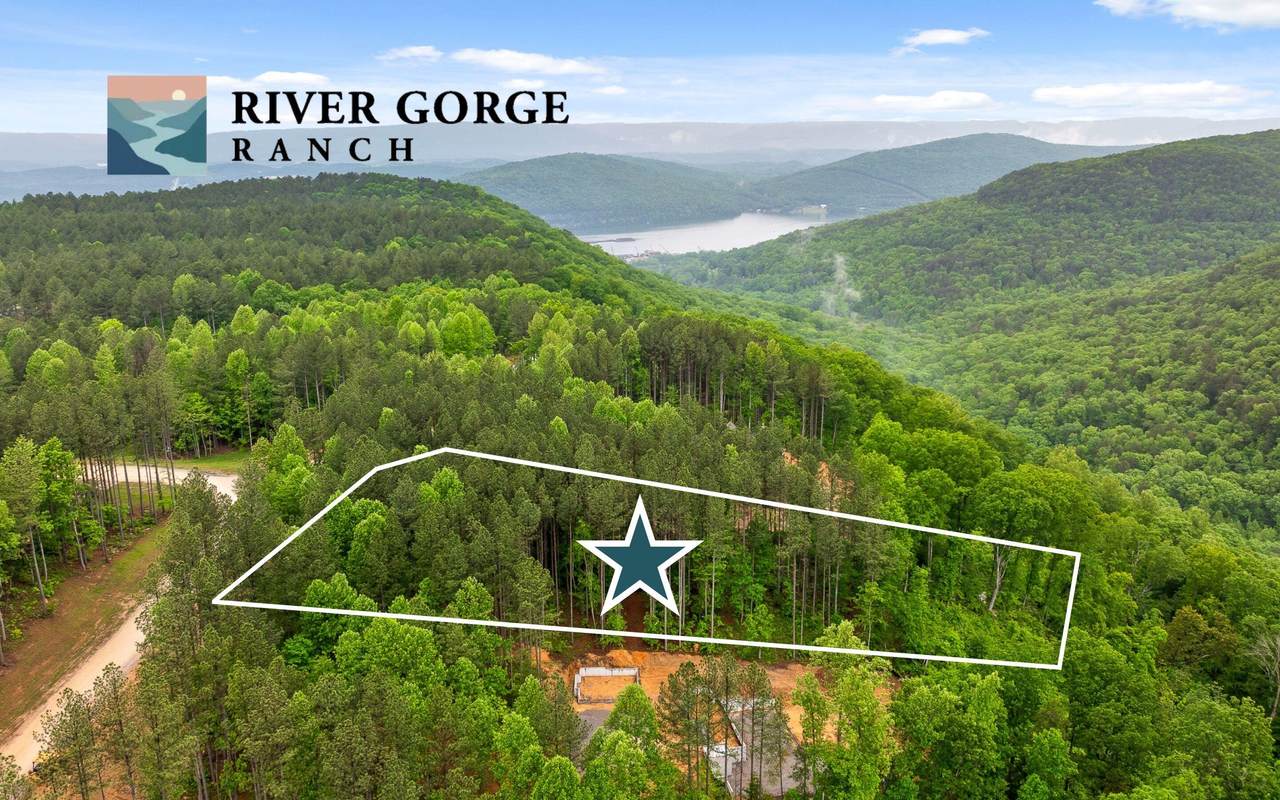 Lot 1060 Birds Eye Way - Photo 1