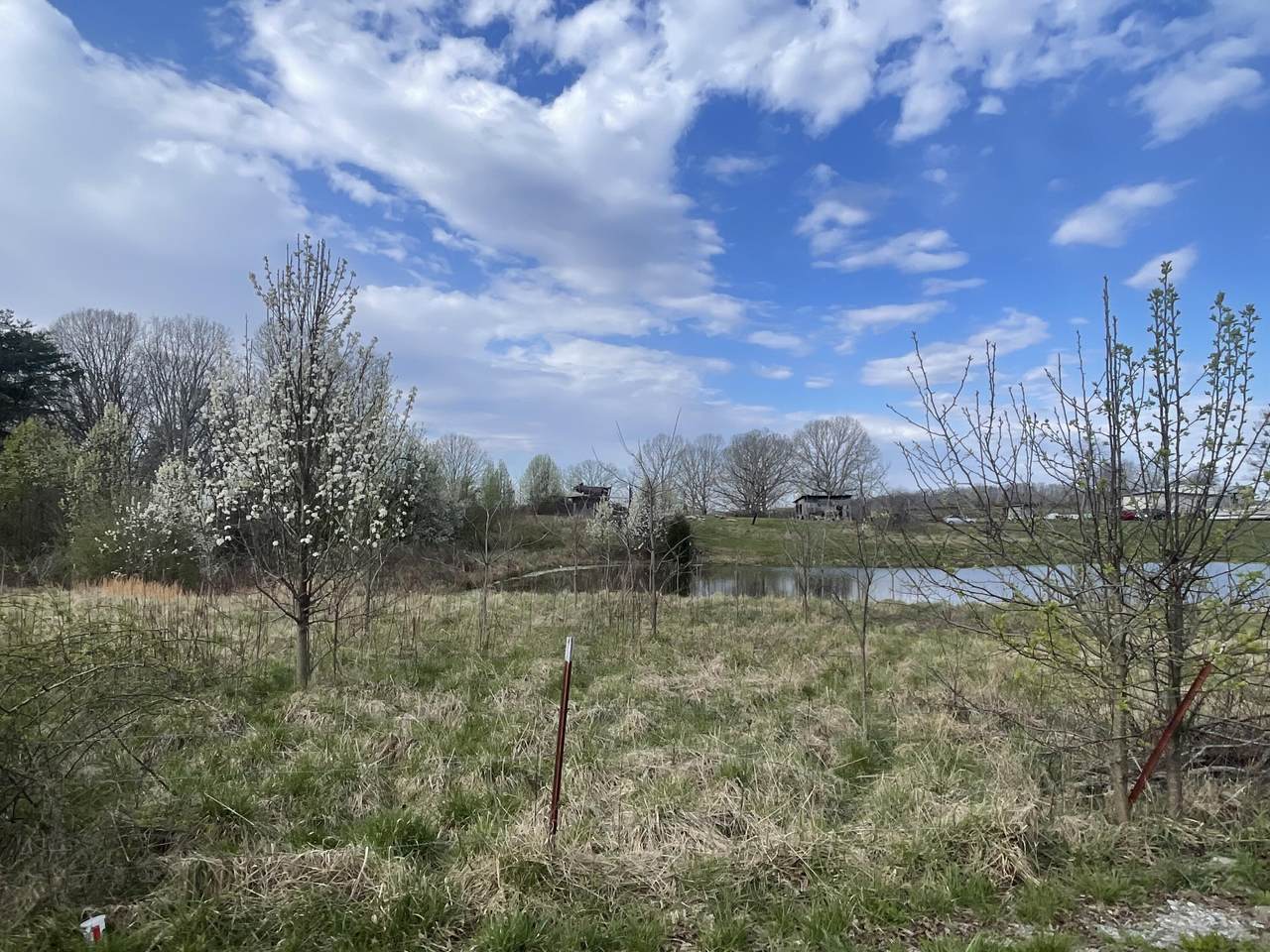 02 Watson Loop - Photo 1