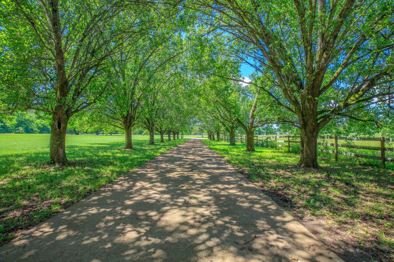 https://bt-photos.global.ssl.fastly.net/chattanooga/1280_boomver_4_1513266-2.jpg