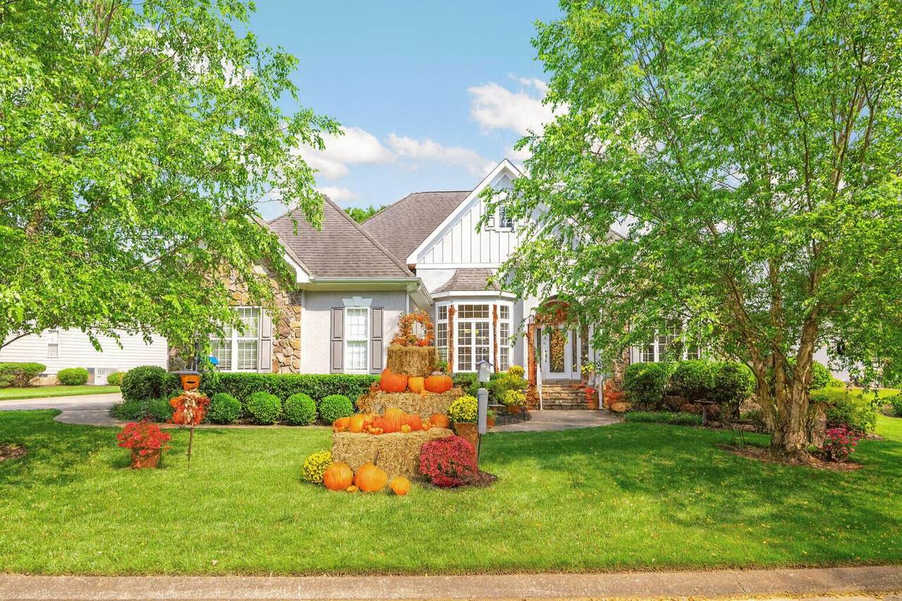 902 Cattails Drive - Photo 1