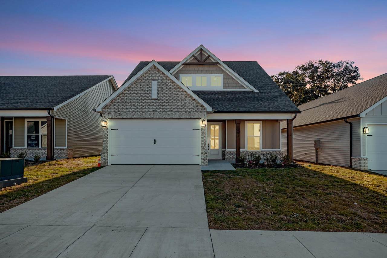 6602-Lot 106 Elizabeth Ann Way - Photo 1