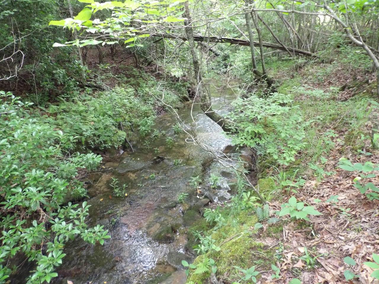 https://bt-photos.global.ssl.fastly.net/chattanooga/1280_boomver_2_1515290-2.jpg