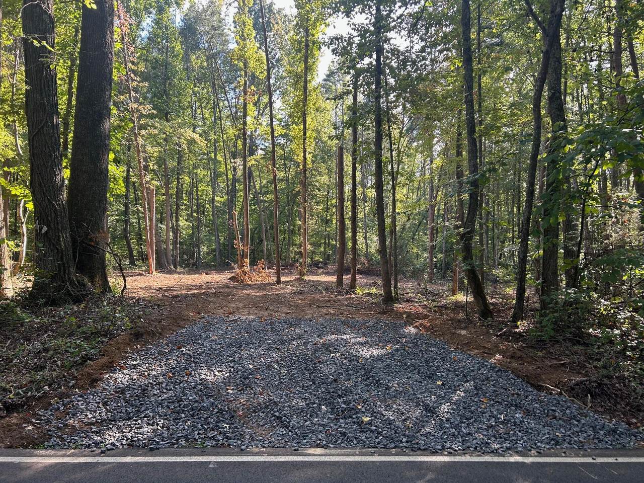 Tract 6 Pleasant Hill Road - Photo 1