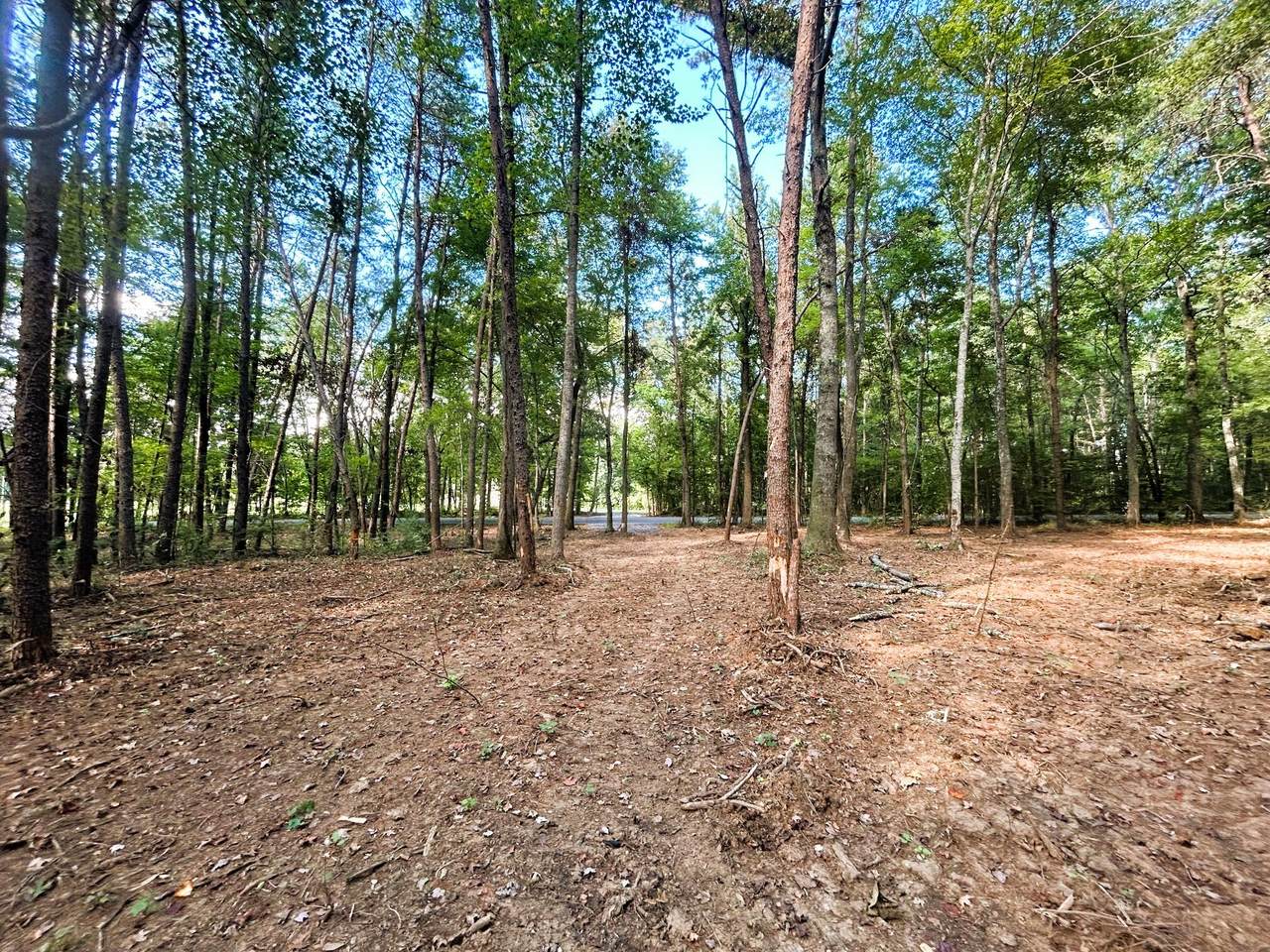 Tract 5 Pleasant Hill Road - Photo 1