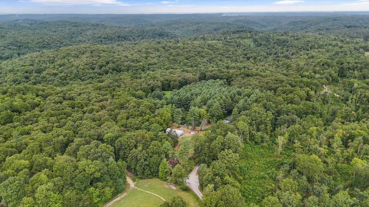 704 Annadell Road - Photo 1