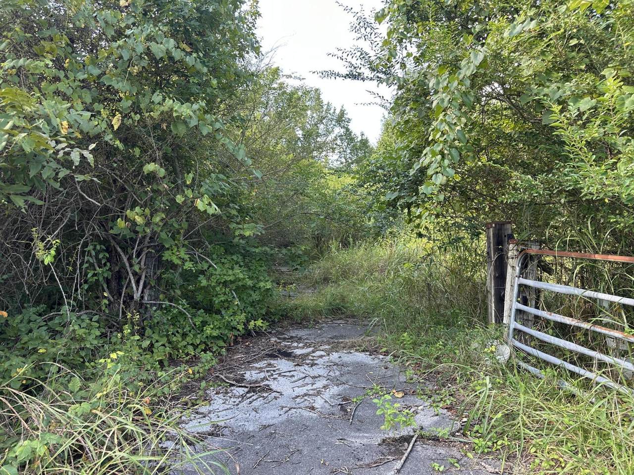 3969 Salem Valley Road - Photo 1