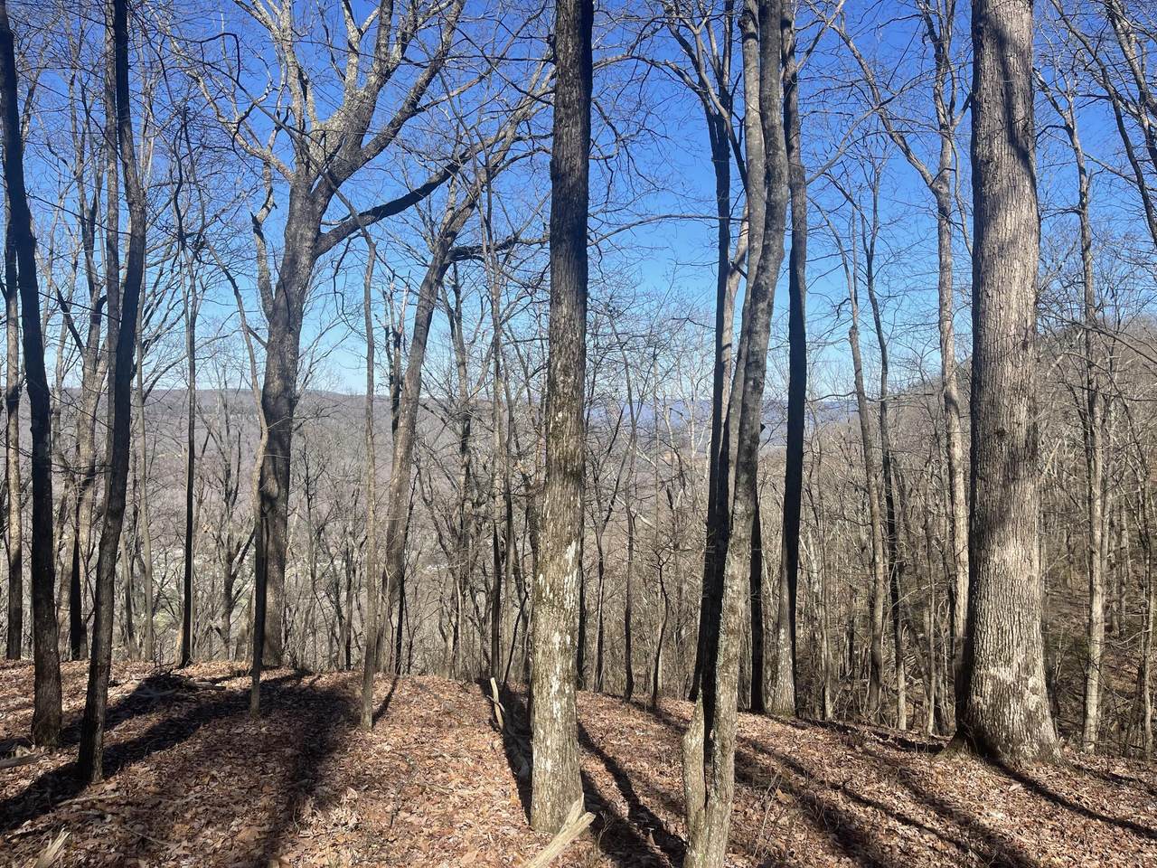 80 High Point Lane - Photo 1