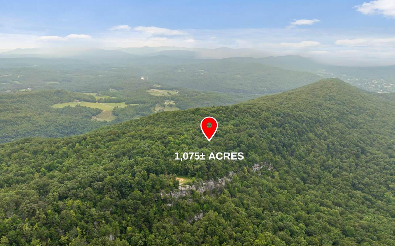 1075 Acres Riggs Chapel Road - Photo 1