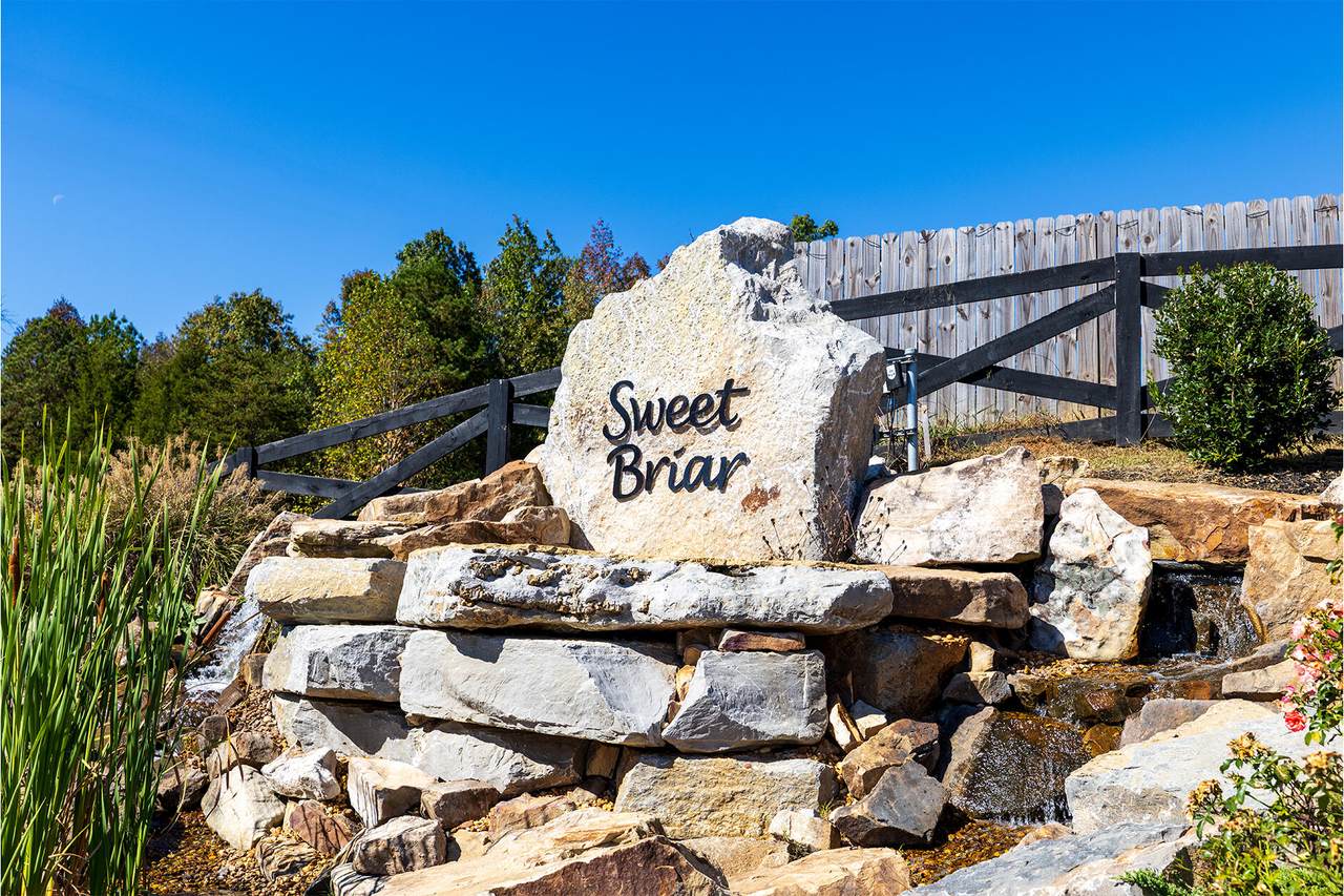 8559 Raspberry Way - Photo 1