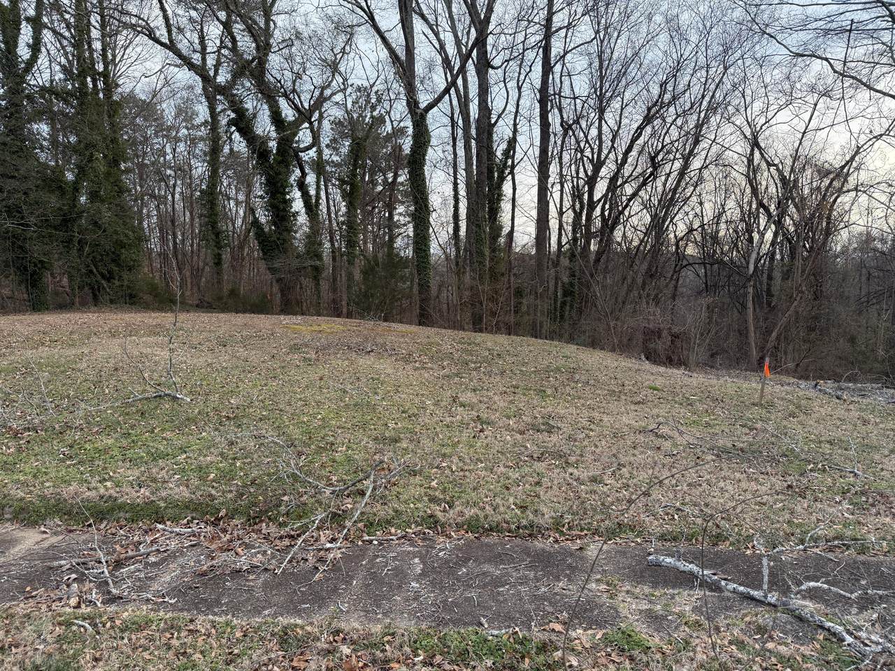 https://bt-photos.global.ssl.fastly.net/chattanooga/1280_boomver_2_1527763-2.jpg