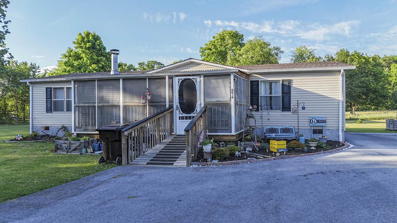 6019 Shirley Pond Road - Photo 1