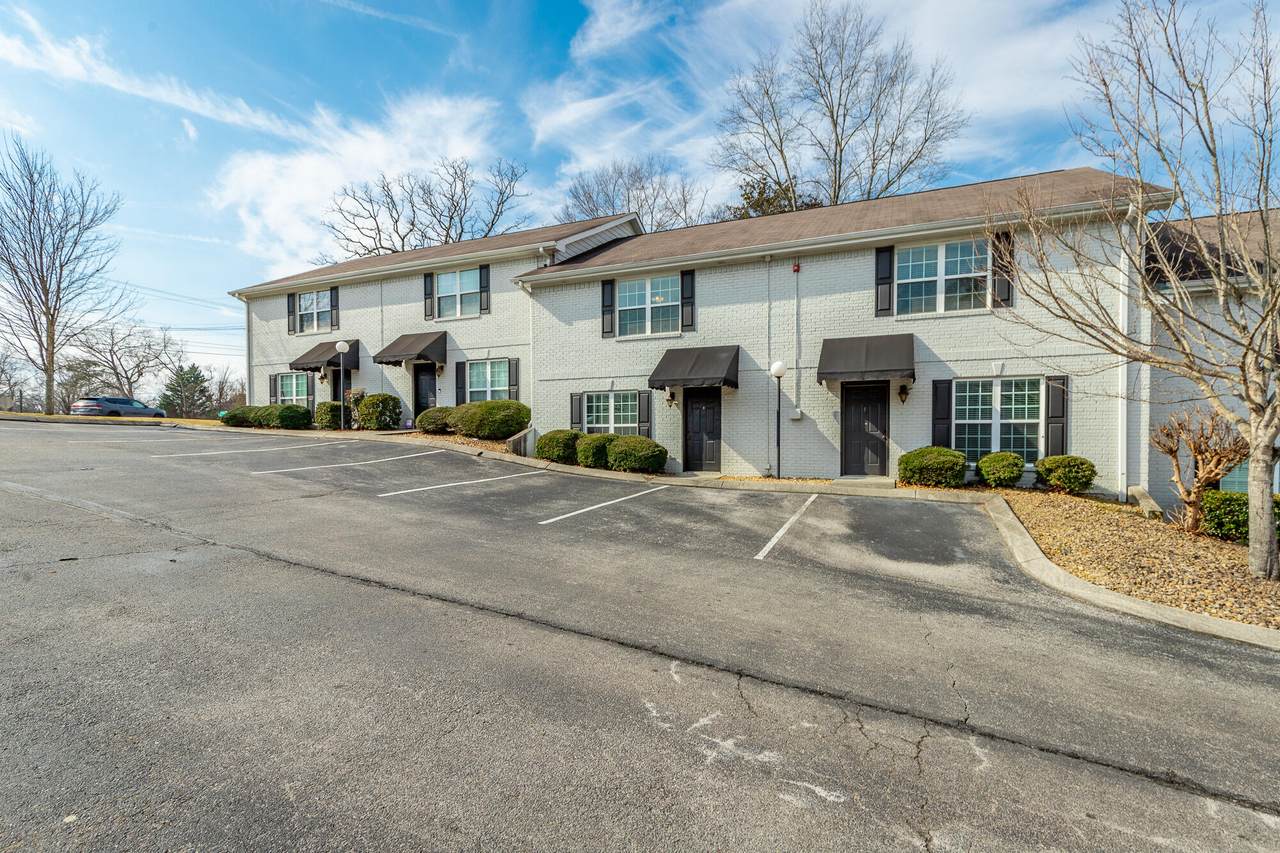 1113 Maple Tree Lane - Photo 1