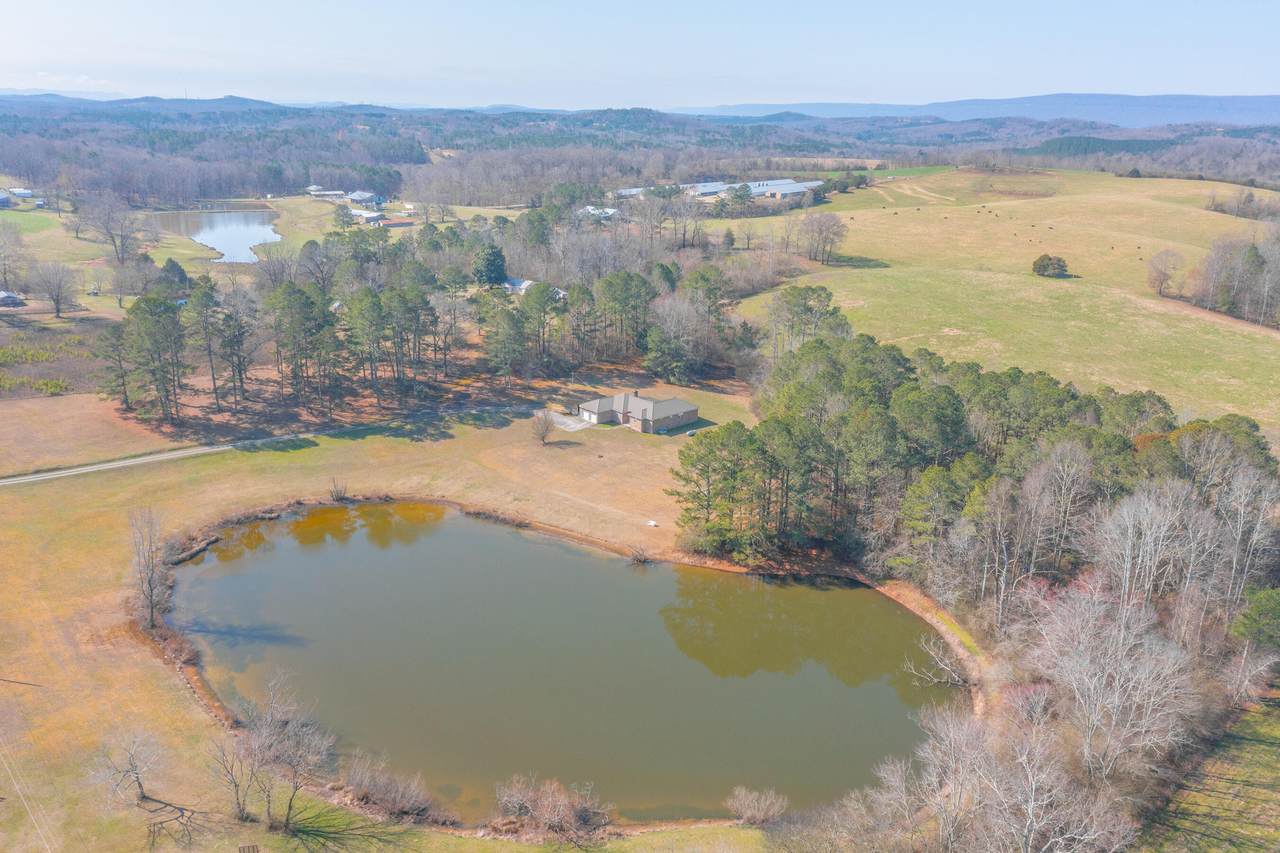 https://bt-photos.global.ssl.fastly.net/chattanooga/1280_boomver_2_1529478-2.jpg