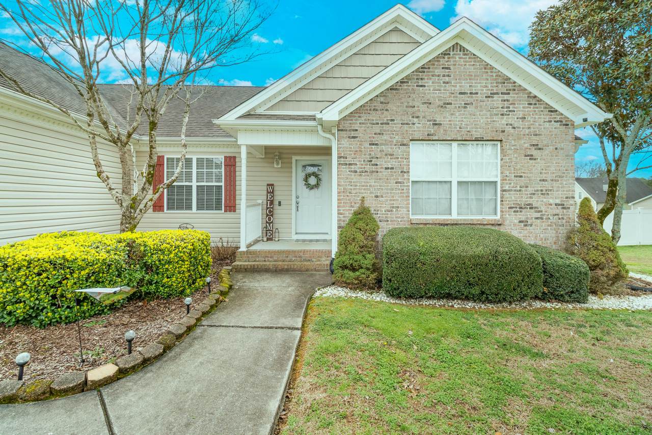 https://bt-photos.global.ssl.fastly.net/chattanooga/1280_boomver_2_1530173-2.jpg