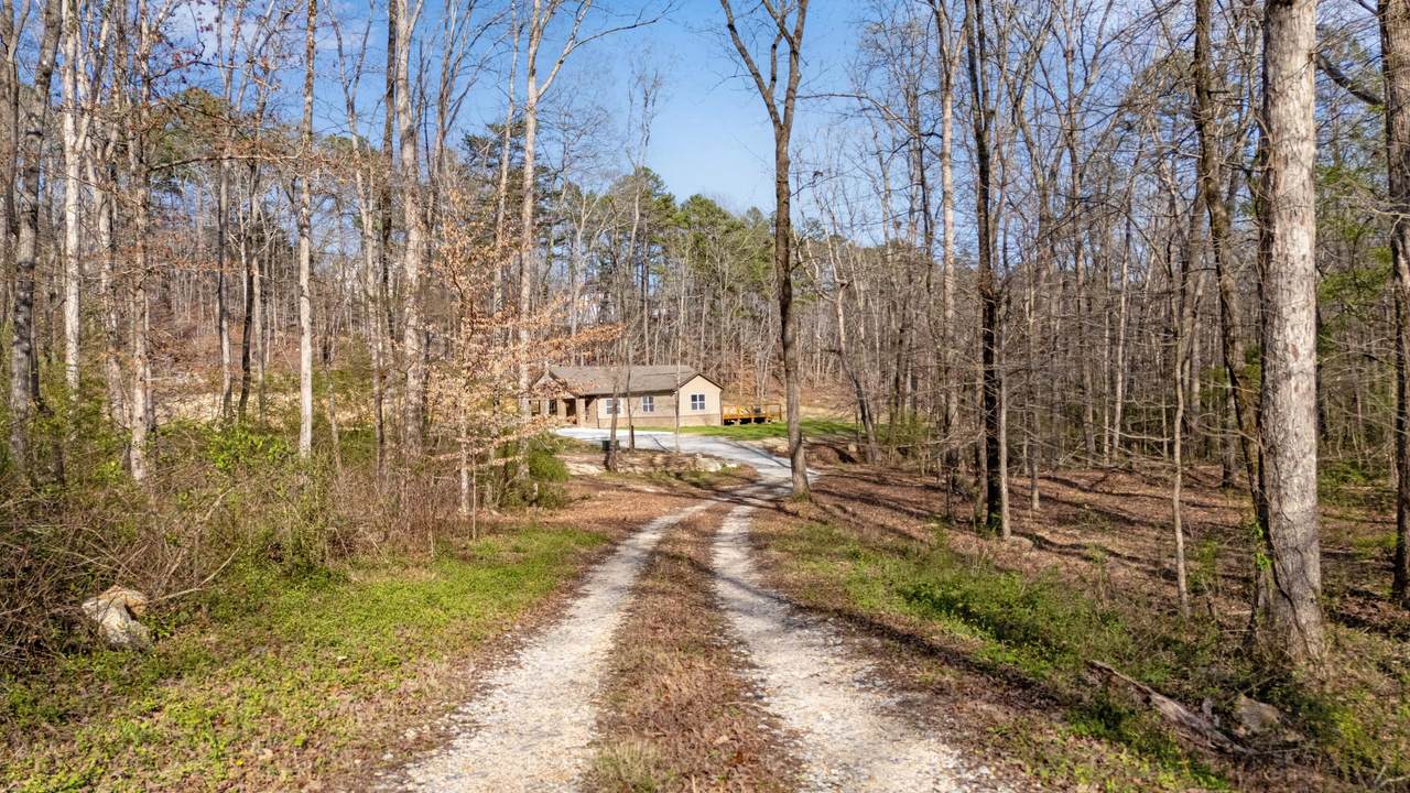 https://bt-photos.global.ssl.fastly.net/chattanooga/1280_boomver_1_1530812-2.jpg