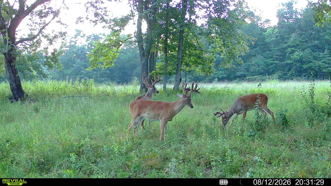 1047 Nelson Harrison Road - Photo 1