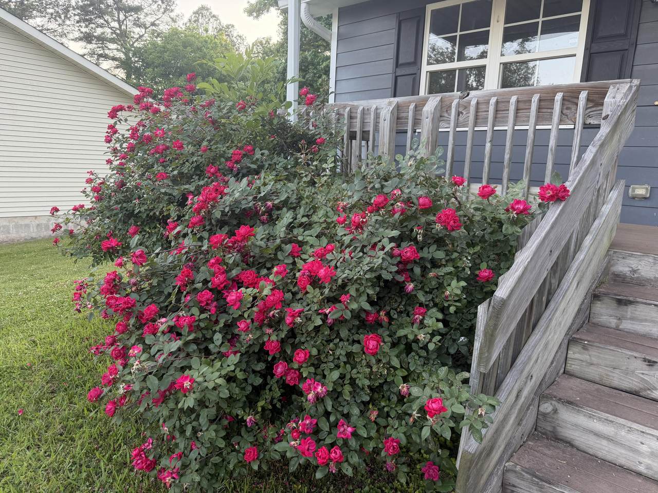 https://bt-photos.global.ssl.fastly.net/chattanooga/1280_boomver_2_1534986-2.jpg