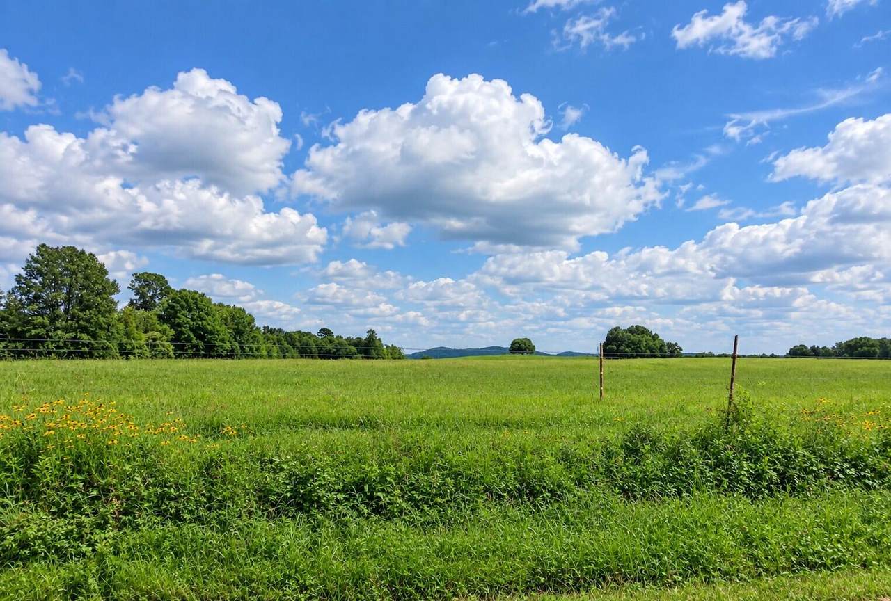 https://bt-photos.global.ssl.fastly.net/chattanooga/1280_boomver_2_1536328-2.jpg