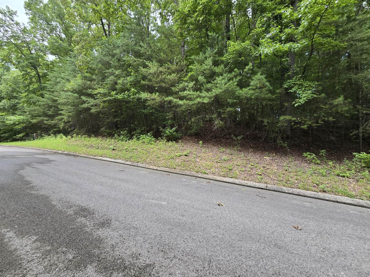 Lot 134 Lower Brow Road - Photo 1