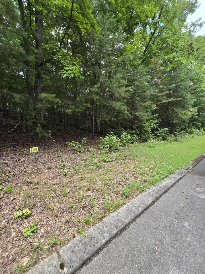 https://bt-photos.global.ssl.fastly.net/chattanooga/1280_boomver_2_1538934-2.jpg