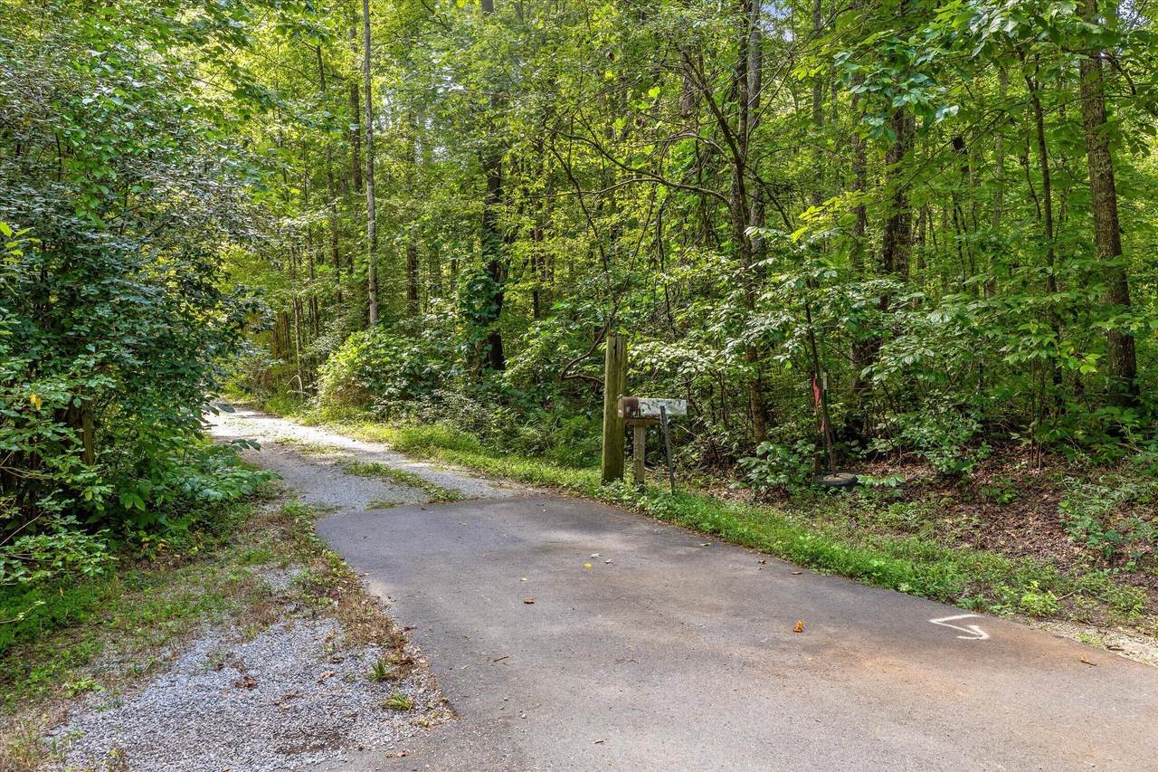 https://bt-photos.global.ssl.fastly.net/chattanooga/1280_boomver_2_1541804-2.jpg