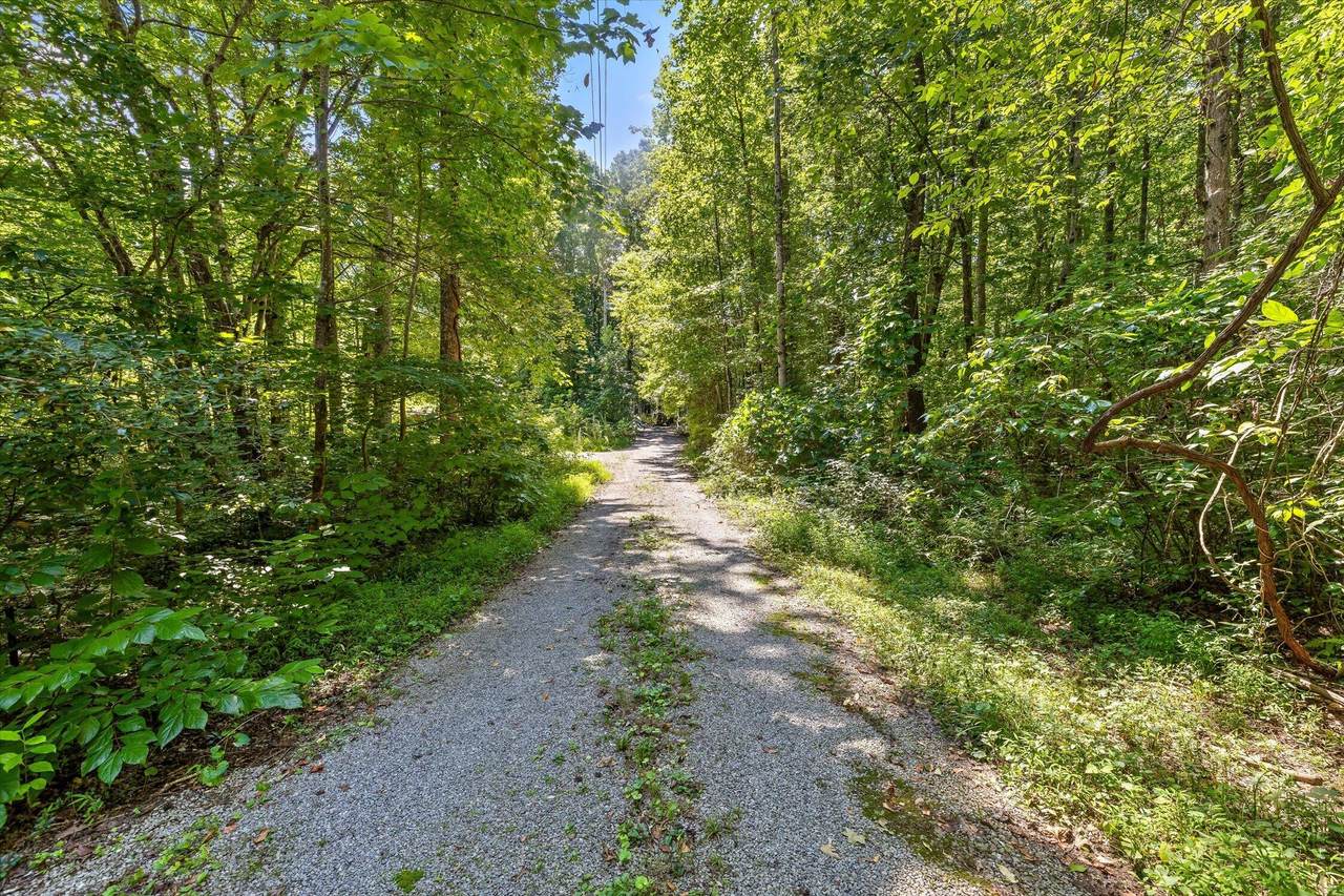 https://bt-photos.global.ssl.fastly.net/chattanooga/1280_boomver_2_1541804-2.jpg