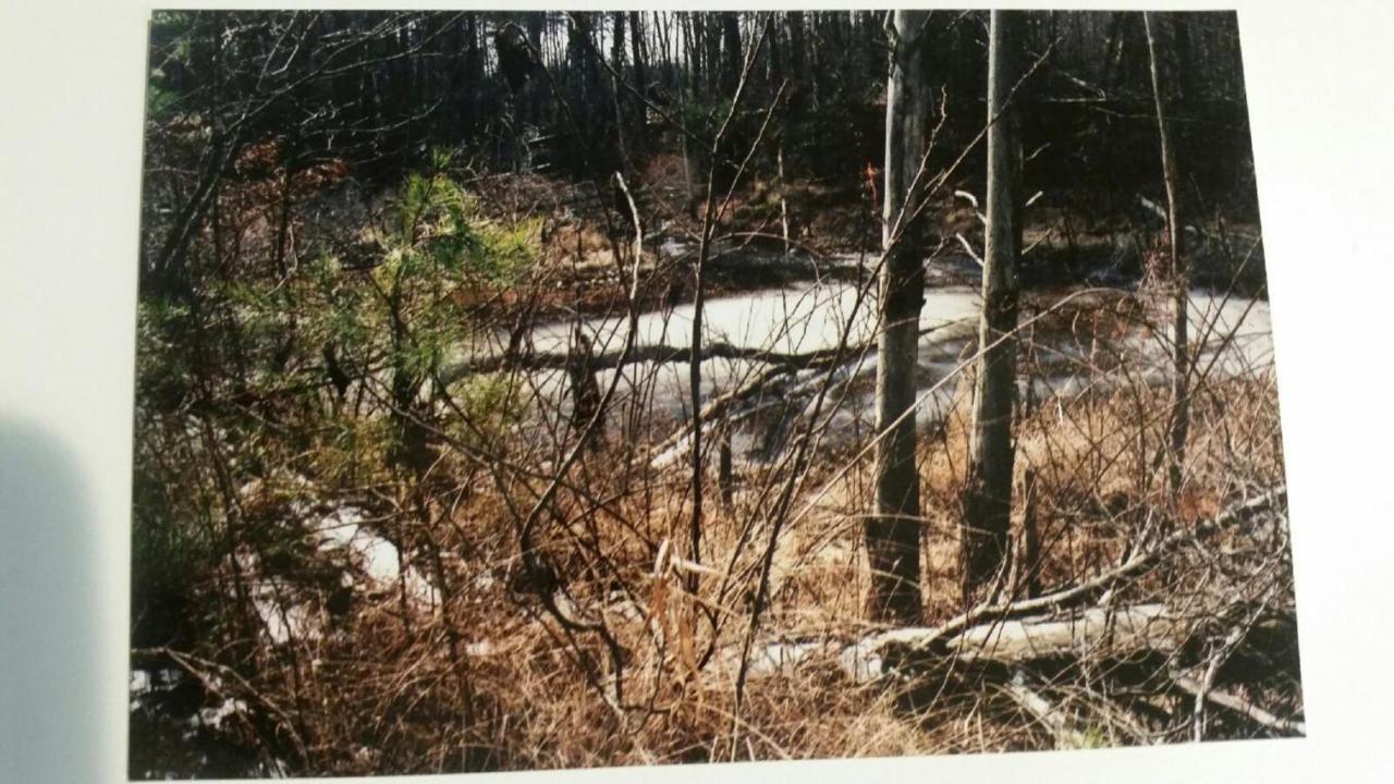 0 Long View Tr - Photo 1
