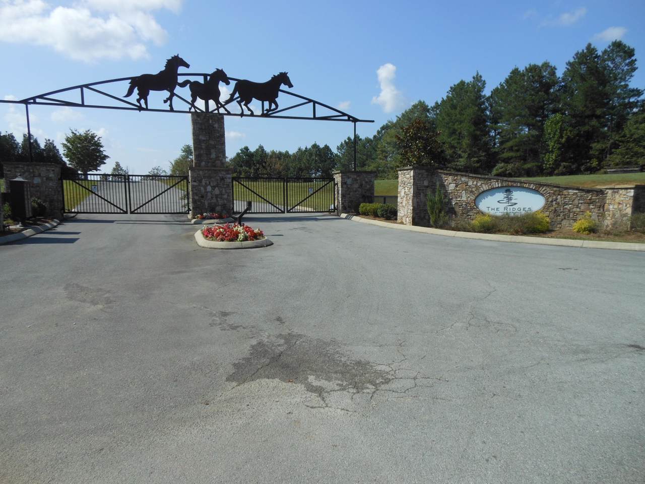 5 Forest View Dr - Photo 1
