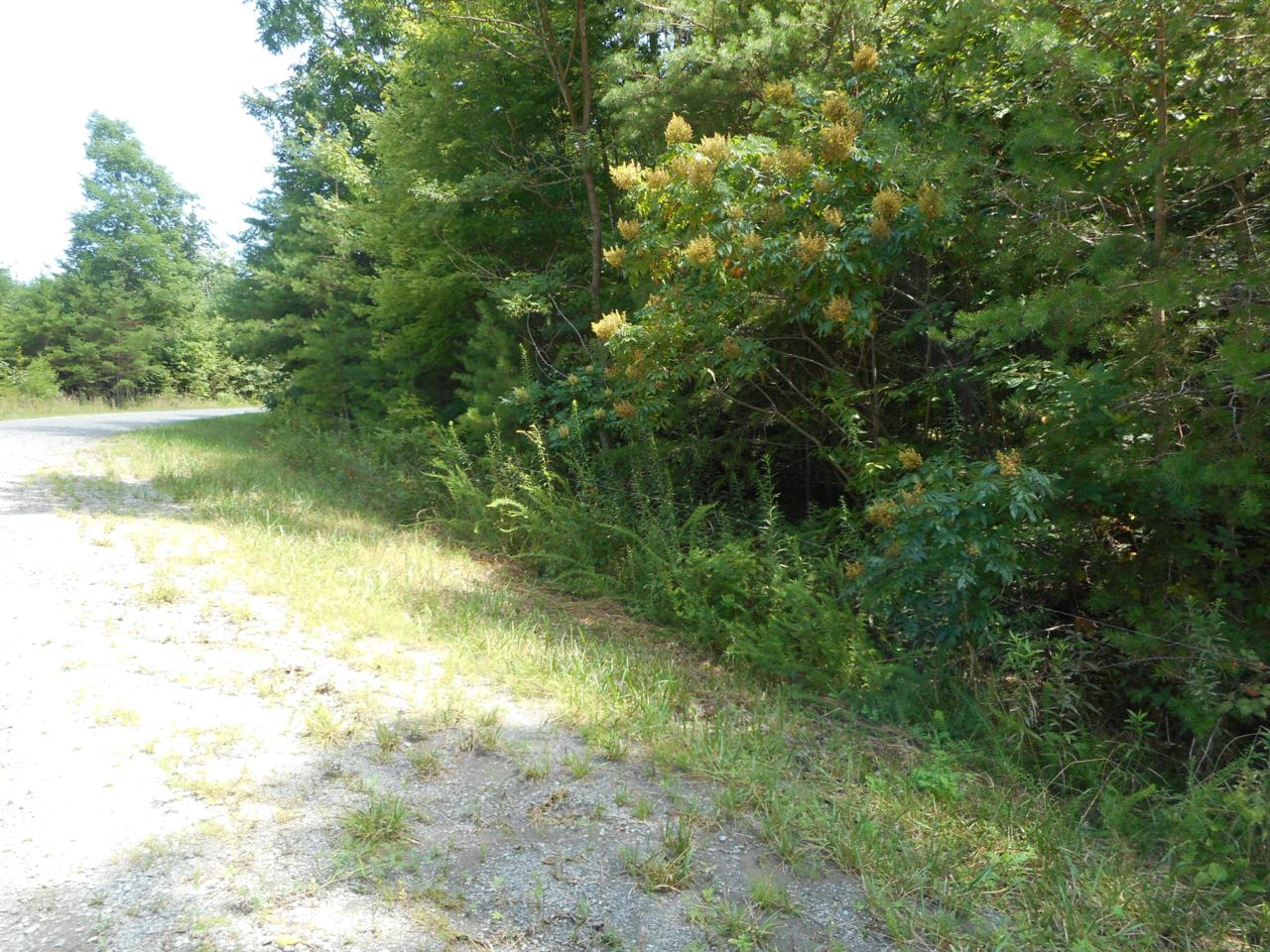 6 Forest Knoll Rd - Photo 1
