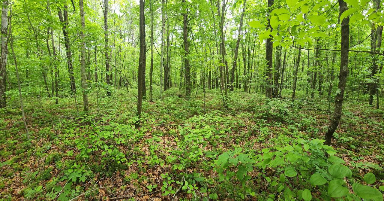 0 Hideaway Cabin Rd - Photo 1
