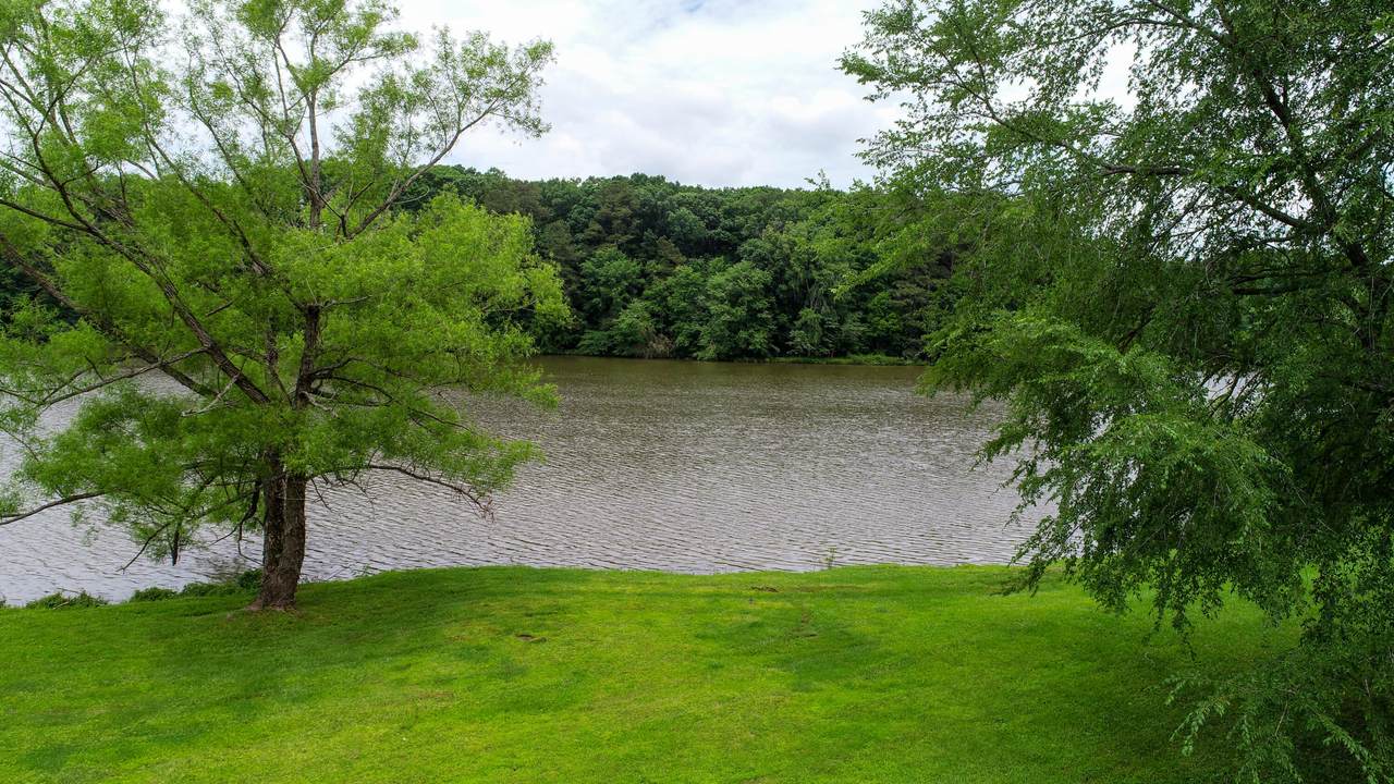 https://bt-photos.global.ssl.fastly.net/chattanooga/1280_boomver_2_1356398-2.jpg