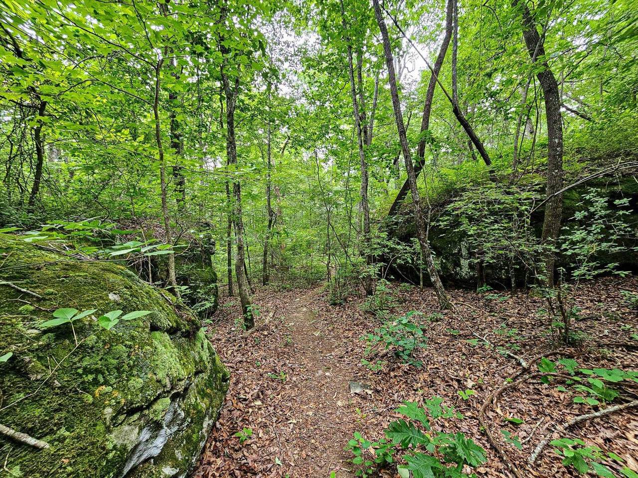 https://bt-photos.global.ssl.fastly.net/chattanooga/1280_boomver_3_1383731-2.jpg