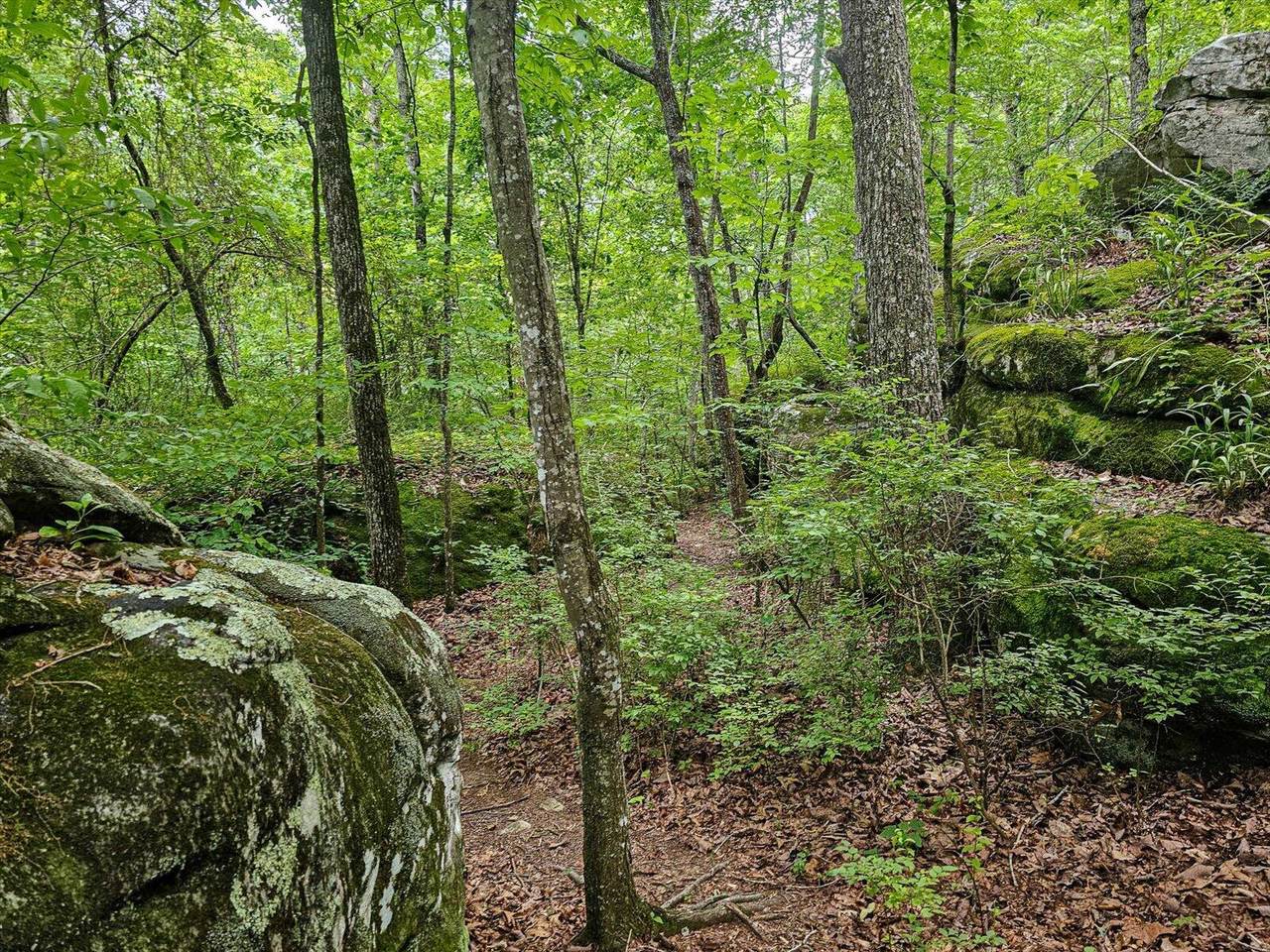 https://bt-photos.global.ssl.fastly.net/chattanooga/1280_boomver_3_1383731-2.jpg