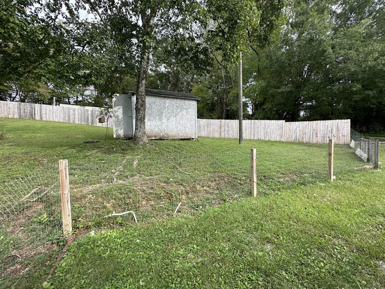 https://bt-photos.global.ssl.fastly.net/chattanooga/1280_boomver_3_1500996-2.jpg