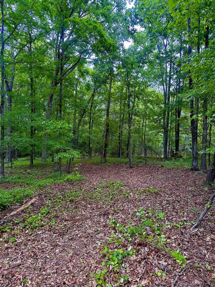 0 Highway 2, Tract 5 - Photo 1