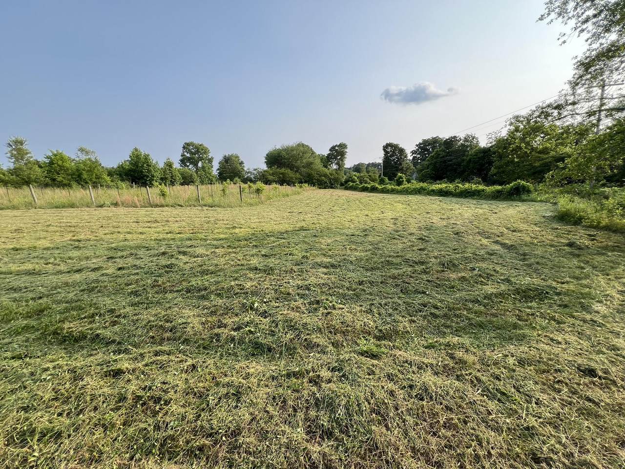 333 Hooper Road - Photo 1