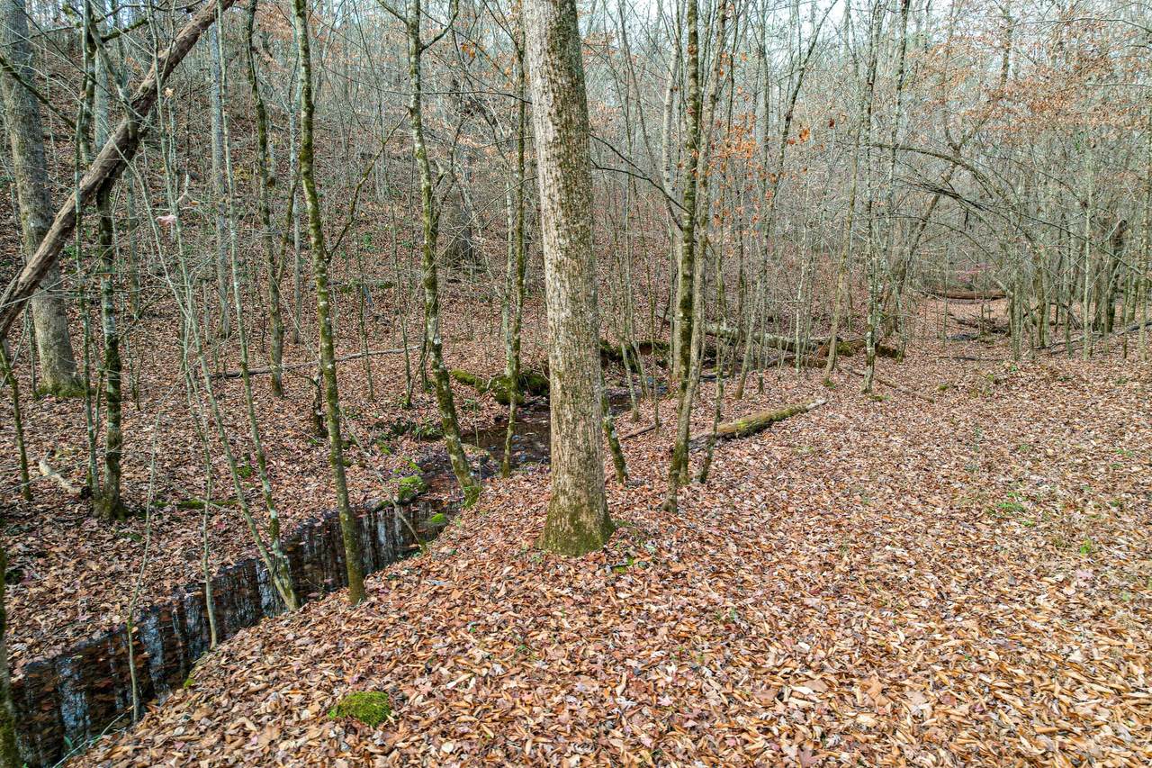 https://bt-photos.global.ssl.fastly.net/chattanooga/1280_boomver_3_1516266-2.jpg