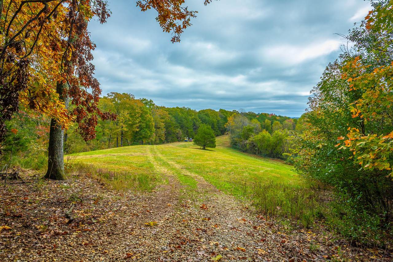 6512 Fairview Road - Photo 1